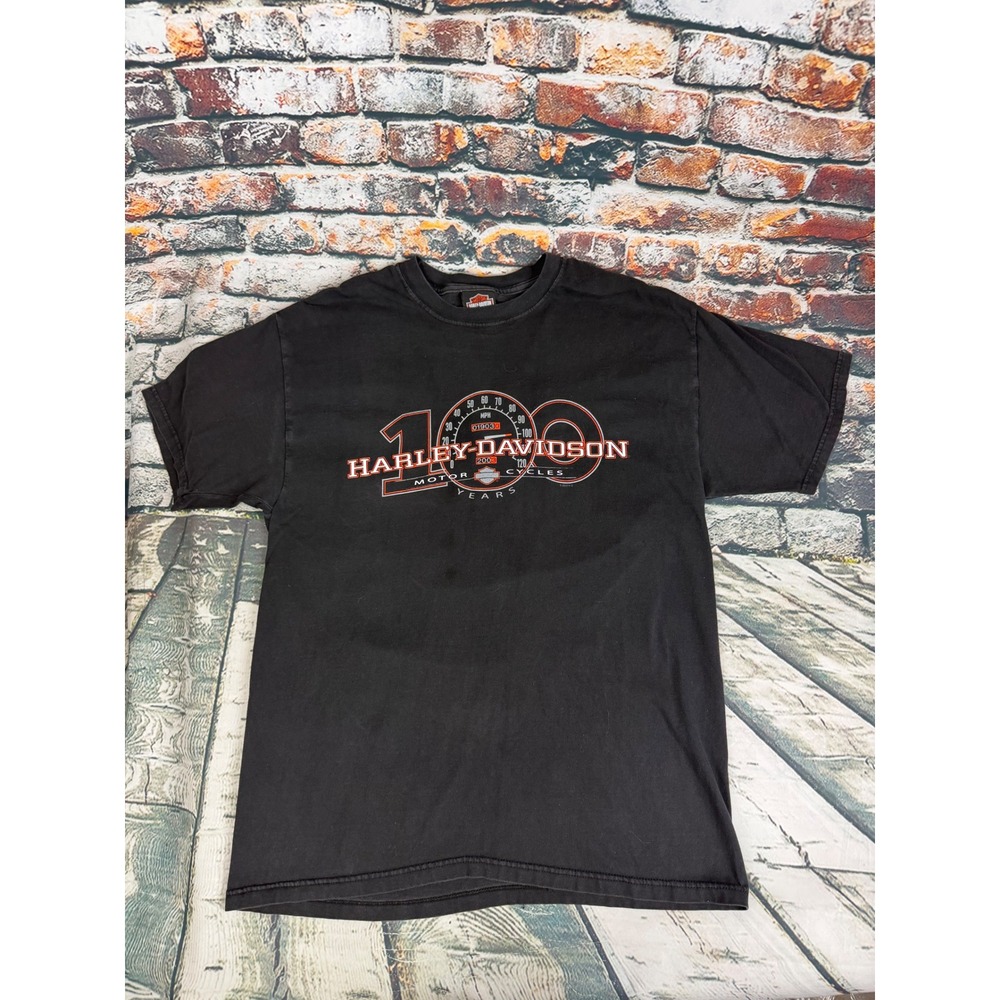 Vintage 2002 Harley Davidson 100th Anniversary Shirt Mens L Frontier Nebraska